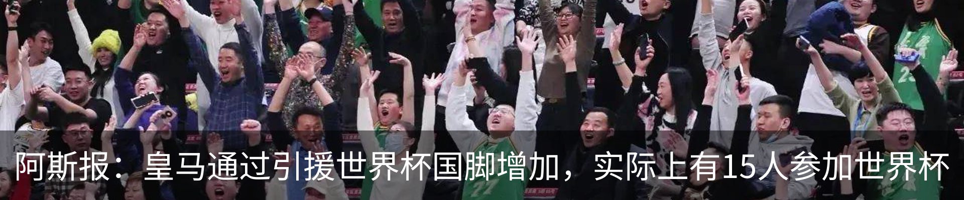 新闻动态